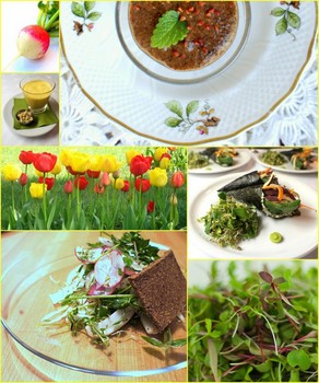 Nyers Vegn nyenc vacsork prilisban is! / Raw Vegan Gourmet dinners in April also!